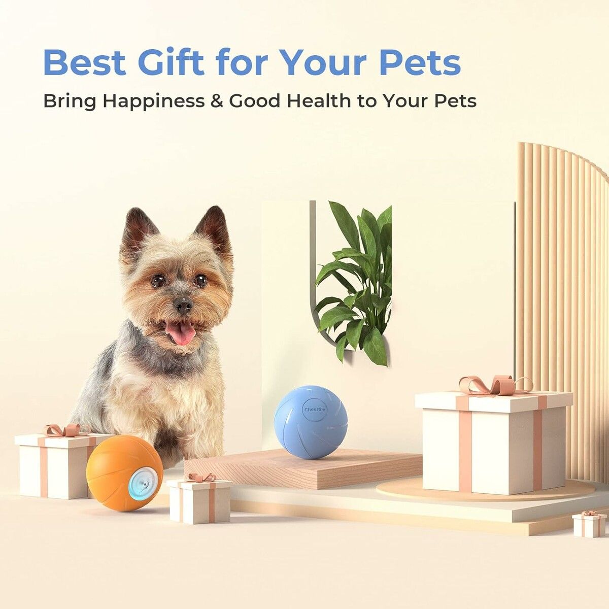 https://img.crazysales.com.au/products_pictures/314/314890_2733679_F.jpg