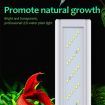 Fish Aquarium Tank Underwater Submersible Change LED Ultra White Light Stand