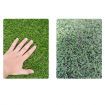 1.6x6.6FT/ 6.6x9.8FT Artificial Grass Turf Pet 3cm Thick Floor Mat Lawn Synthetic Spring Grass Indoor Outdoor Landscape Golf Green Decor Pet Grass Faux Grass with Drainage Holes