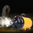 JASE PD-9001 2200W Dog Hair Dryer Electric Blower Warm Wind Cat Paws Grooming Electric Machine with 3 Nozzles Adjustable Steppless From XIAOMI YOUPIN Pet Supplies