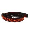 Dog LED Leash Pet Supplies