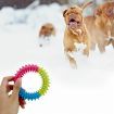 Assorted Dog Puppy Pet Toys Ropes Chew Balls Training Play Bundle Teething Aid