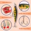 Advent Calendar Fishing Christmas Countdown - 24 Days Fishing Lures Set for Fisher Adult Men Teen Boys - 2023 Christmas Surprise Gift