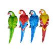 Resin Lifelike Bird Ornament Statue Parrot Model Figurine Home Lawn Sculpture Decorations2Yellow