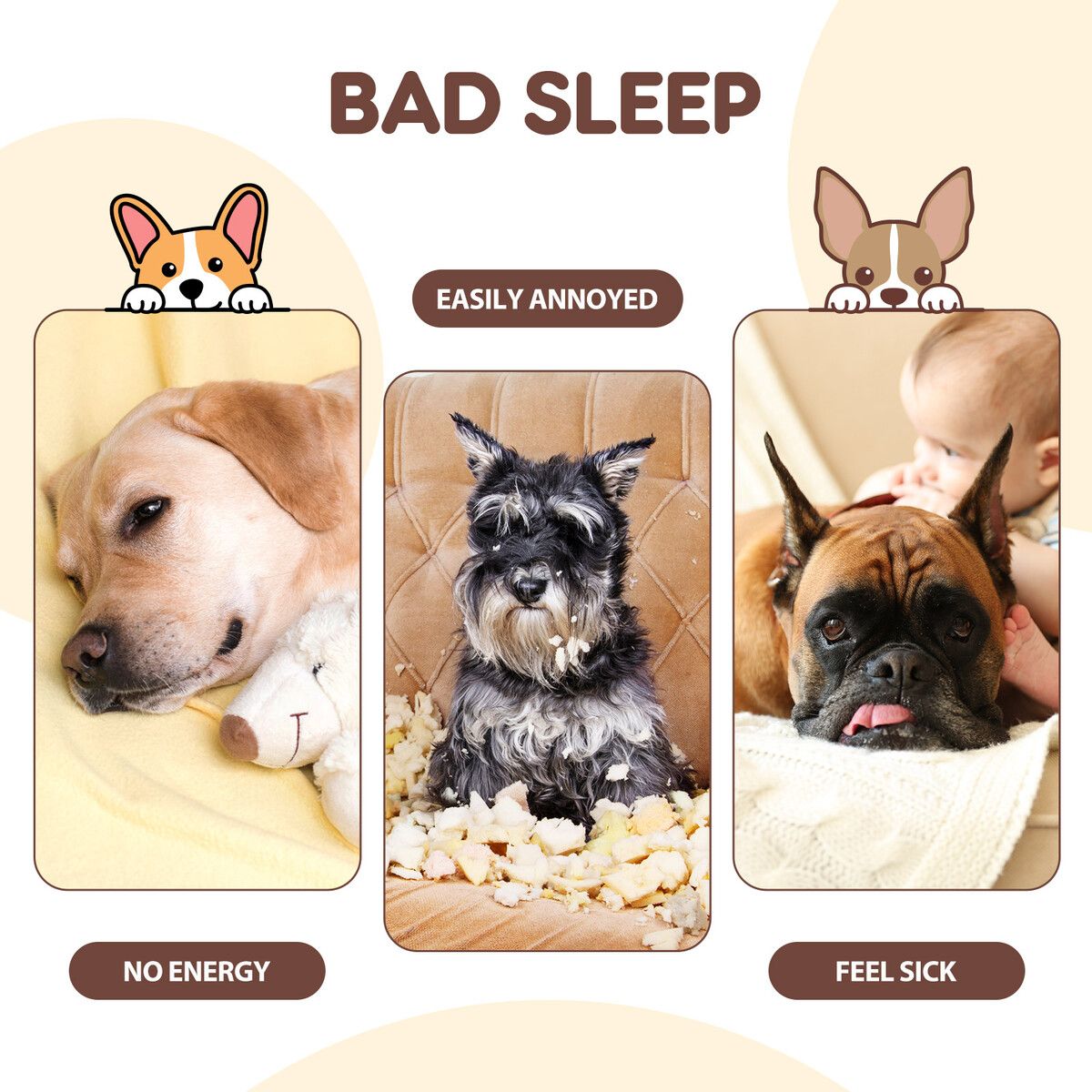 https://img.crazysales.com.au/products_pictures/315/315538_2739165_F.jpg