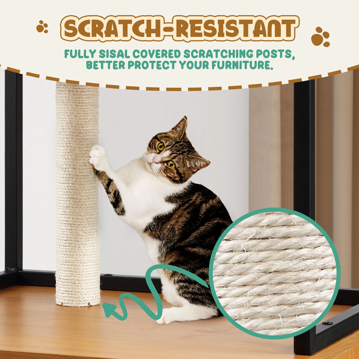https://img.crazysales.com.au/products_pictures/315/315971_2743129_F.jpg