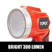 20V LED Light 300 Lumen Lightweight LED Torch Skin Only without Battery