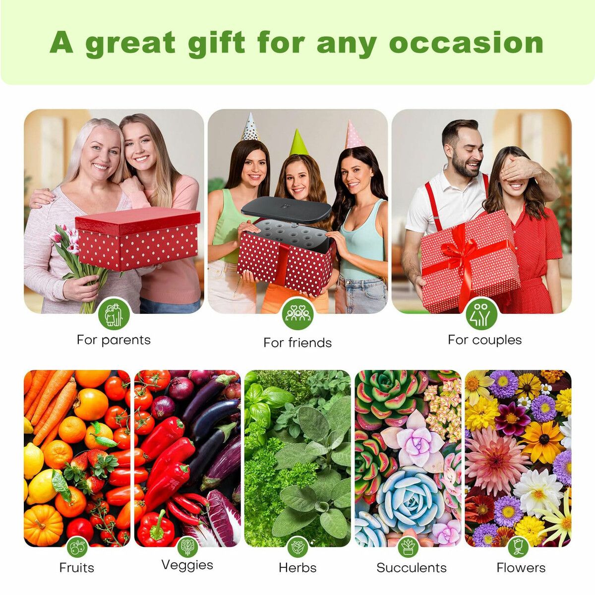 https://img.crazysales.com.au/products_pictures/316/316381_2746754_F.jpg