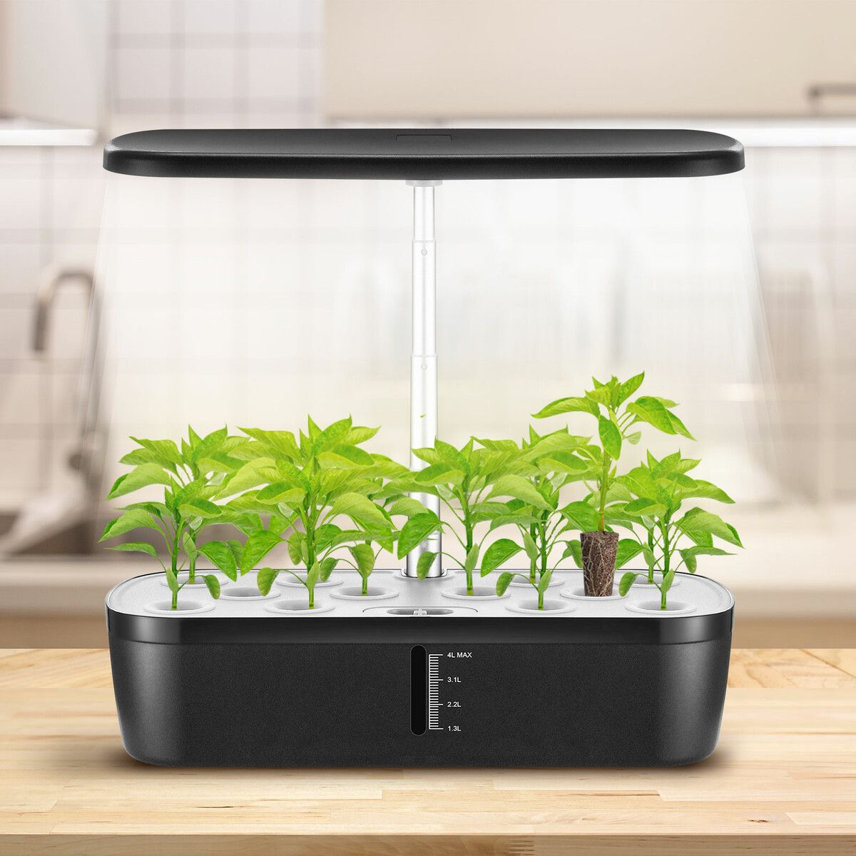 https://img.crazysales.com.au/products_pictures/316/316381_2746758_F.jpg