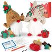 Christmas Crochet Kit for Beginners, Crochet Starter Kit  Tutorials, Crochet Kits for Adults and Kids, DIY Craft Supplies, Christmas Gnome Decoration