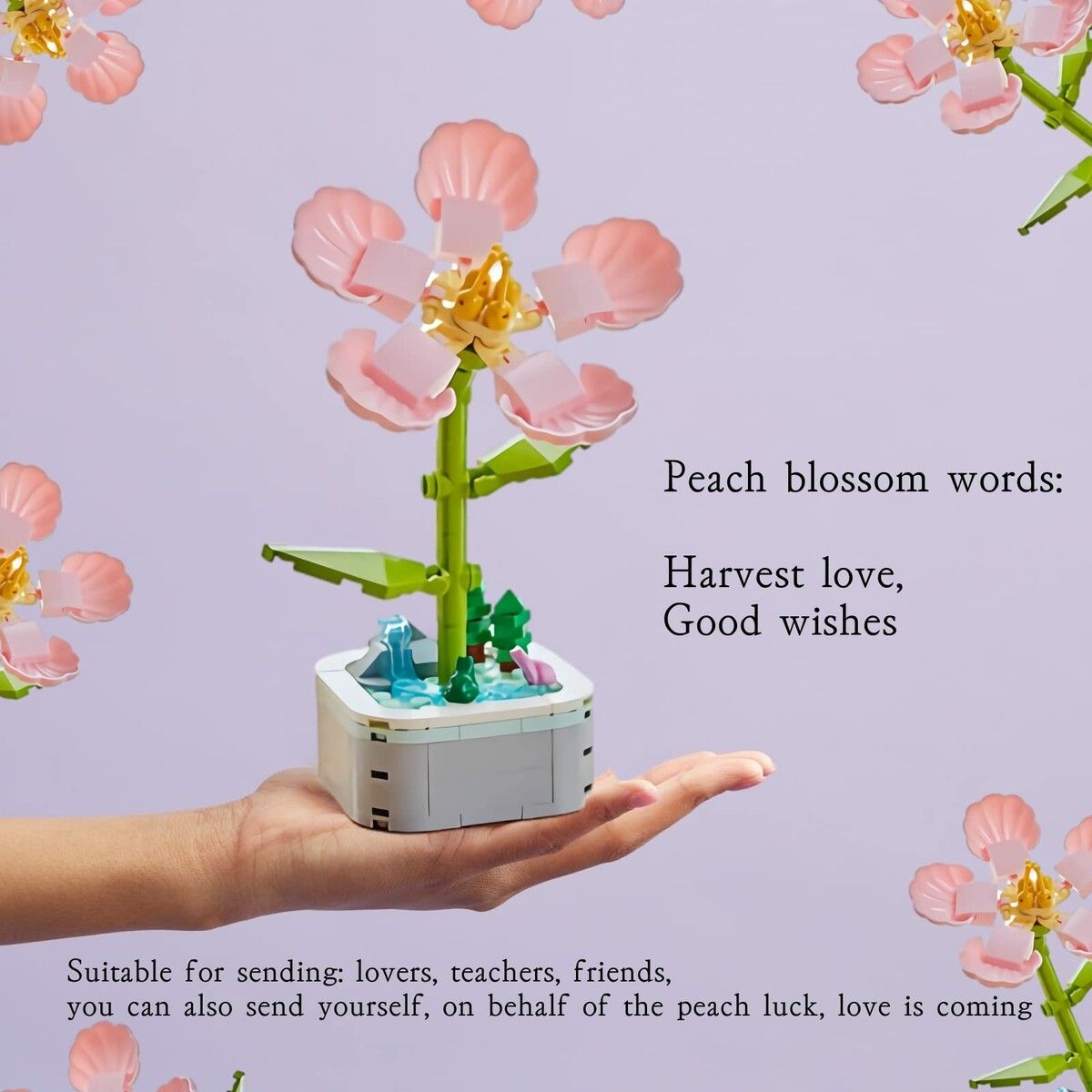 https://img.crazysales.com.au/products_pictures/316/316677_2749707_F.jpg