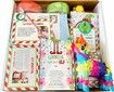 Elf Kit 24 Days of Christmas,Christmas Elf Kit,elf on The Shelf,Christmas Activities,Best Christmas Countdown Gift (24 Days)