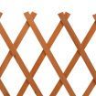 Garden Trellis Fence Orange 120x60 cm Solid Firwood