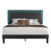 Bed Frame Double Size RGB LED Lights Headboard Platform Mattress Base Black PU Leather Height Adjustable Bedhead Wooden Bedroom Furniture