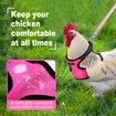 Chicken Harness with Leash,Upgraded Double Adjustment Chicken Harness and Leash Set for Hens,Duck,Goose,Small Pet (Pink,S)