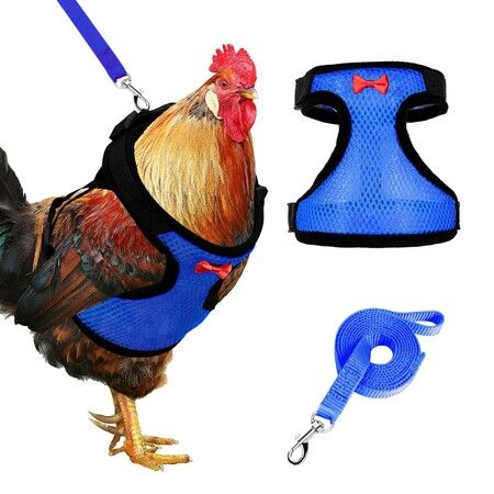 Chicken Harness with Leash,Upgraded Double Adjustment Chicken Harness and Leash Set for Hens,Duck,Goose,Small Pet (Blue,S)
