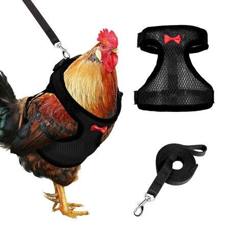 Chicken Harness with Leash,Upgraded Double Adjustment Chicken Harness and Leash Set for Hens,Duck,Goose,Small Pet (Black,S)