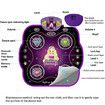 Dance Mat for Kids Age 3+, Light Up Dance Pad with Bluetooth Game Toy Gift for Boys and Girls