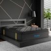 Spring Mattress Bamboo Euro Top King