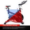 Spin Bike Exercise Bicycle Stationary Fitness 13kg Flywheel Shock Absorbing Home Gym Workout Cycle Trainer Indoor Cycling Adjustable LCD Display