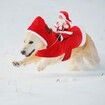 Santa Dog Costume Christmas Pet Clothes Santa Claus Riding Pet Cosplay Costumes Party Dressing up Dogs Cats Outfit for Small Medium Large Dogs Cats Size:XL (Neck:17.3-20.5" Chest:22.8-29.5")