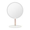 Rechargeable Travel Makeup Mirror with LED Light, 3 Color Lighting Travel Mirror