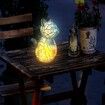 Resin Animals Table Lamp Retro LED Ambient Night Light Nightstand Aesthetic Bedside Lamps Night Stand Lamp Lighting Home