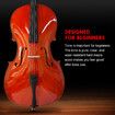 Full Size 4/4 Cello Instrument Beginner Student Cellist Musical Outfits High Lustre Varnish Solid Wood Bridge Strings Bow with Carrying Case