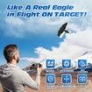 RC Plane, Remote Control Eagle Plane,RTF Airplane,2.4GHZ 2CH Flying Bird with 2 Batteries & Propeller 6-axis Gyro Stabilizer,Easy to Fly for Beginners Adults Kids Boys