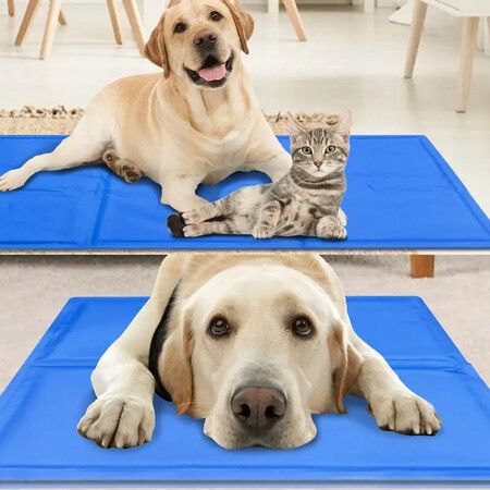 https://img.crazysales.com.au/products_pictures/318/318971_2772560_F.jpg