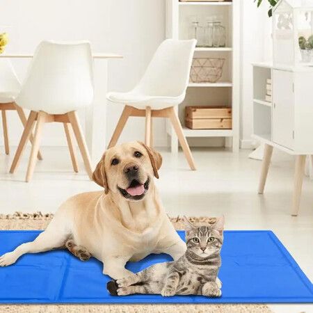 https://img.crazysales.com.au/products_pictures/318/318971_2772561_F.jpg