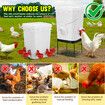 Chicken Bird Feeder Waterer Set Auto Food Water Dispenser Automatic Chick Poultry Chook Drinker Cup Gravity Fed Feeding Drinking System 20L with Stand