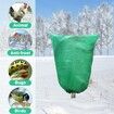 2 Packs Plant Covers Freeze Protection Large 47.7" X 71.7" Tree Covers Frost Cloth Plant Anti-Freeze Shrub Protection Bag with Zipper Drawstring Frost Blankets for Outdoor Plants (Green)