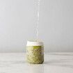 Countertop Sprouter Growing Kit, One Size, Baking White Wasabi Glass