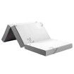 Foldable Foam Mattress Queen Size Trifold Sofa Bed Extra Thick Sleeping Floor Mat Portable Camping Travel Cushion