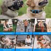 Dog Shock Collar, 4000FT Dog Training Collar with Remote Color Screen, IPX7 Waterproof Electric Collar for All Breeds