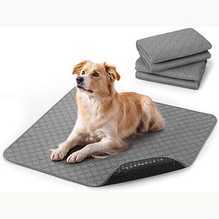https://img.crazysales.com.au/products_pictures/319/319264_2776342_F.jpg