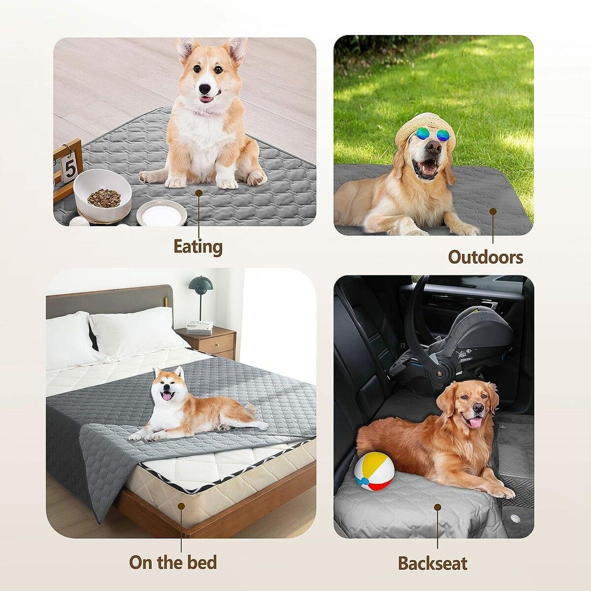 https://img.crazysales.com.au/products_pictures/319/319264_2776346_F.jpg