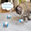 Interactive Cat Toy for Indoor Cats, Kitten Toys, Automatic Cat Toy with LED Lights