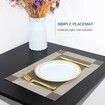 Silver Grey 4 pack 30*45cm Placemats Easy to Clean Plastic Placemat Washable for Kitchen Table Heat - resist and Woven Vinyl Table Mats