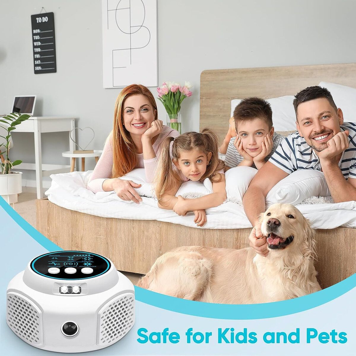 https://img.crazysales.com.au/products_pictures/319/319407_2777766_F.jpg