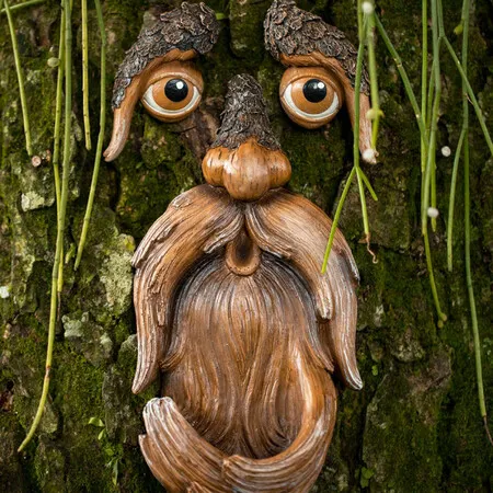 Outdoor Tree Faces, Tree Art, Outdoor Tree Decorations, Tree Faces, Unique Bird Feeders for Outdoor and Indoor, Face for Tree Trunk