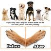 Dog Nail Scratch Board, Nail File Scratch Board for Dogs Paw Dog Scratch Pad Fear Free Nail Care Square Scratcher Pad Mat for Dogs and Cats