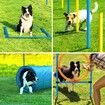 Dog Agility Equipment 5 Set Pet Pet Scene Puppy Training Kit Jump Hurdle Tunnel Poles Pause Box Hoop Obstacle