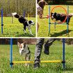 Dog Agility Equipment 5 Set Pet Pet Scene Puppy Training Kit Jump Hurdle Tunnel Poles Pause Box Hoop Obstacle