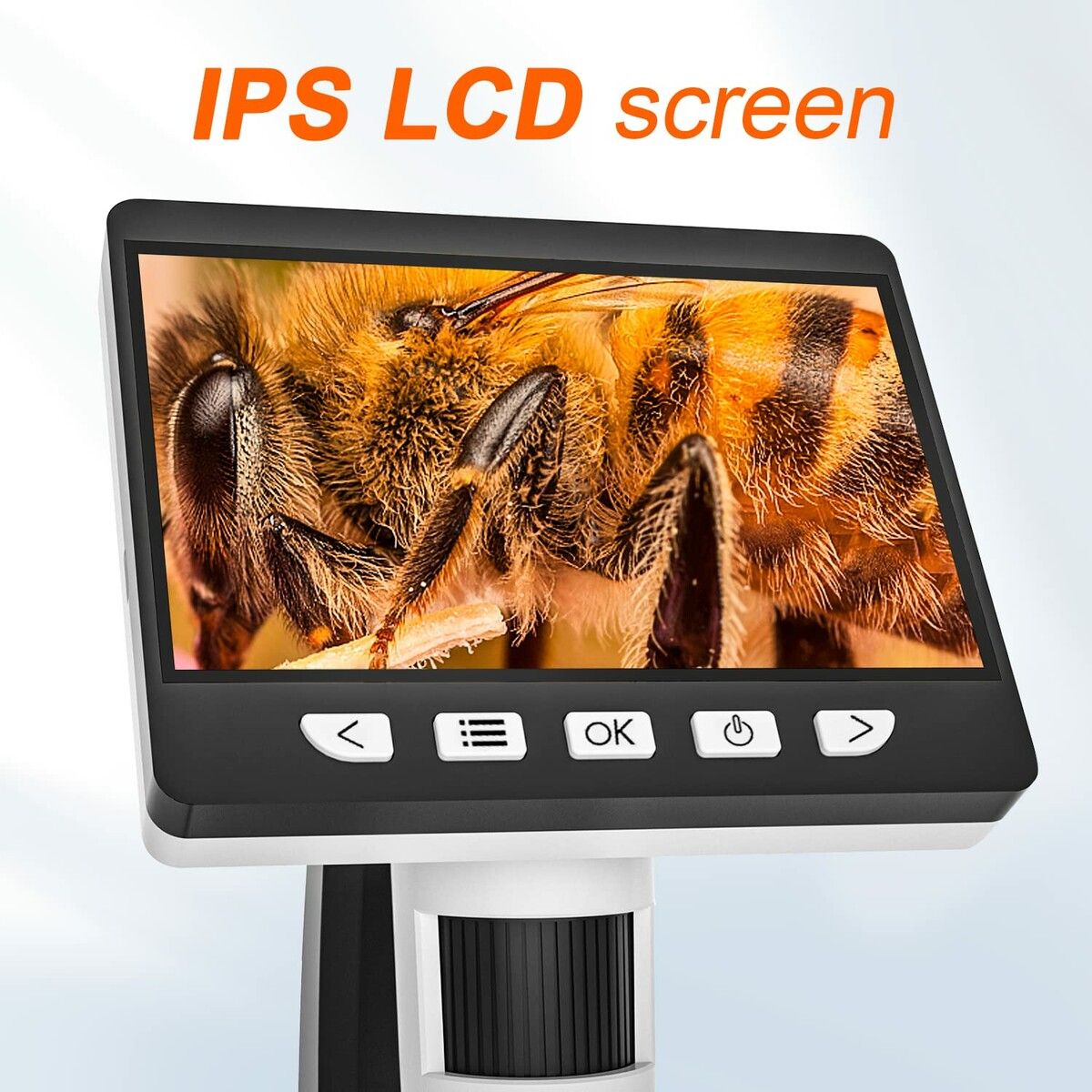 https://img.crazysales.com.au/products_pictures/319/319684_2781591_F.jpg