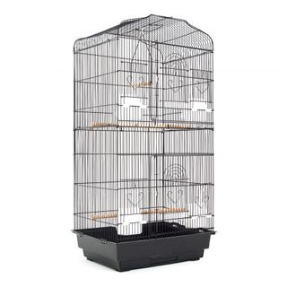 Shop City Farmers Pet Shop for Bird Supplies Online Cheap City