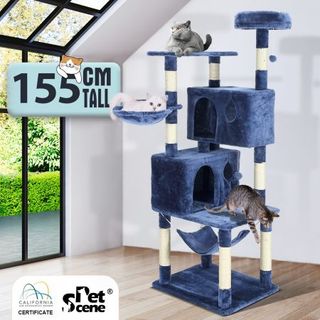 Cat play shop gym kmart