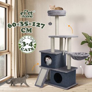 Cat ladders outlet for sale