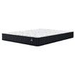 STARRY EUCALYPT Mattress Bonnell Spring Single Size Tight Top Foam 16cm Noelle